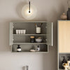 SoBuy | Spiegelschrank | Hängeschrank | Badschrank | Wandspiegel | Naturgrau | BZR134-NG