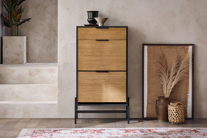 SoBuy | Schuhkipper mit 2 Klappen | Schuhschrank schmal | Schuhkommode | HFSR03-SCH